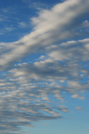 022311 February Sky...Spring is Almost Here