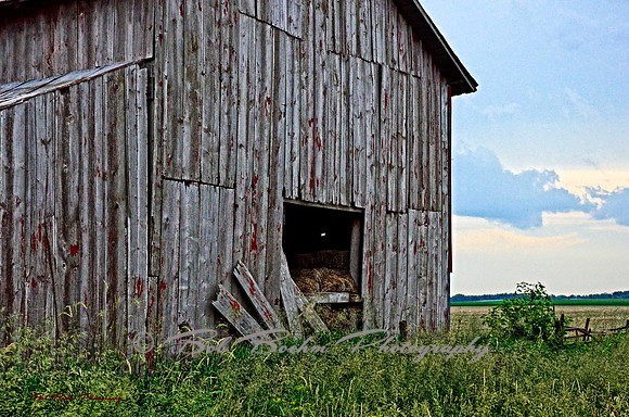Bradford Blacktop Barn