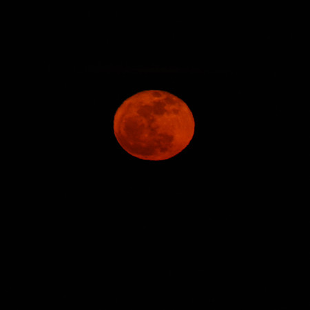 021911 Did You See the Moon Last Night-