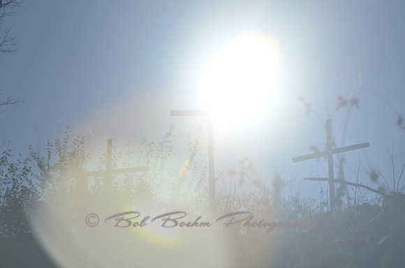 _BJB7098