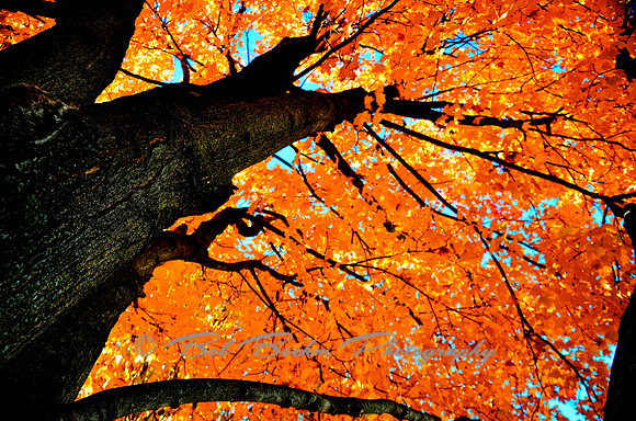 _BJB6080_tonemapped