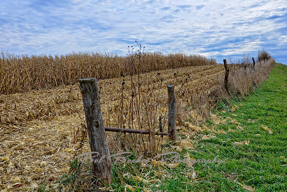 Fenceline