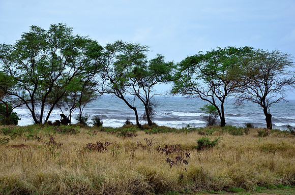 Beach Front at the Russian Fort