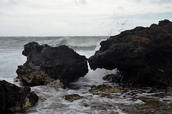 Waves II at Salt Pond Beach