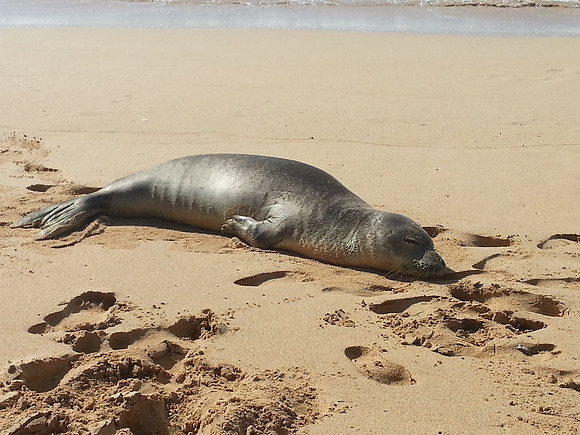 20150207_103316