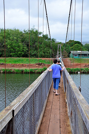 Hanapepe Swinging Bridge II