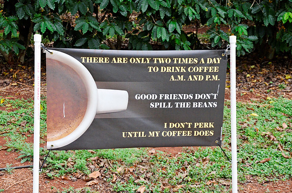 Kauai Coffee Company II