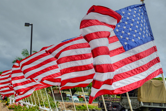 Avenue of Flags II