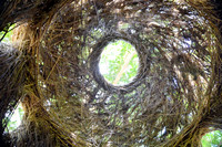 Skylight