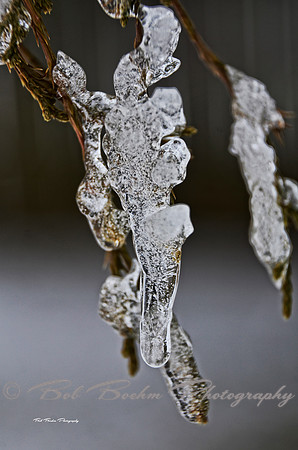 Drip_BJB1973