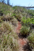 _BJB0205 Hawaii copy