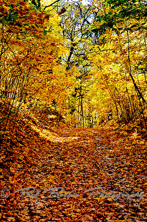 _BJB6043_tonemapped