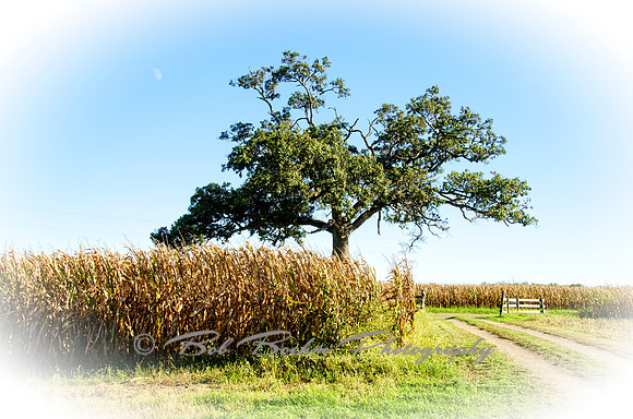 Sep232012_4082