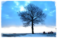 Chilly Morning Air