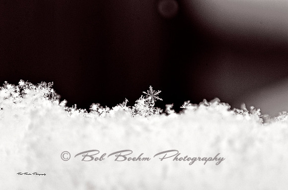 Snowflake 1843