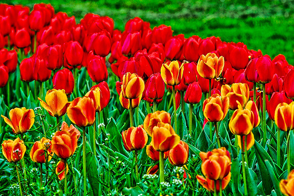 050411 Spring Colors