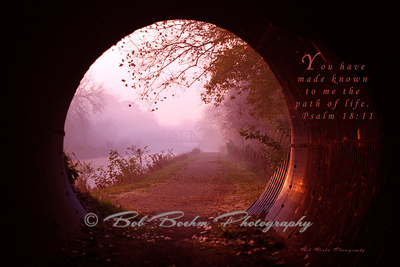 Path of Life