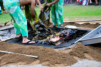Uncovering the Hog