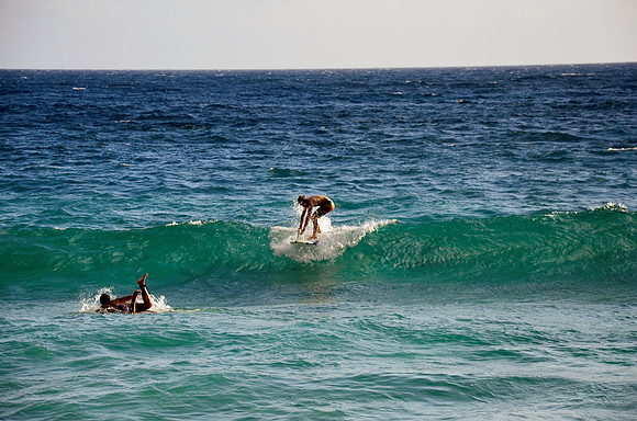 Surf's Up!