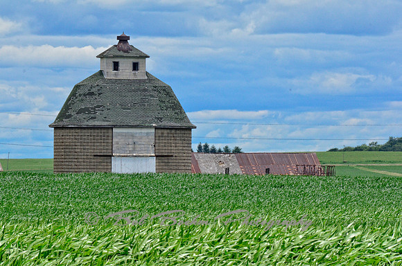 _BJB6631