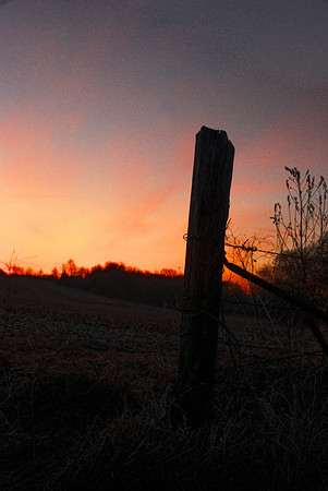 040611 Morning Light