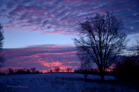 Morning Light