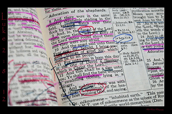 3 Luke 2 8 12