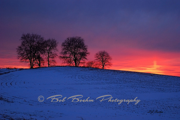 January Sunset