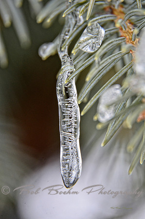 Teardrop_BJB1979