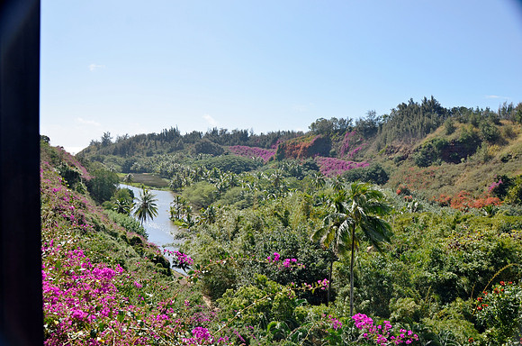 Secluded Beach