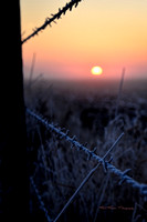 Fenceline