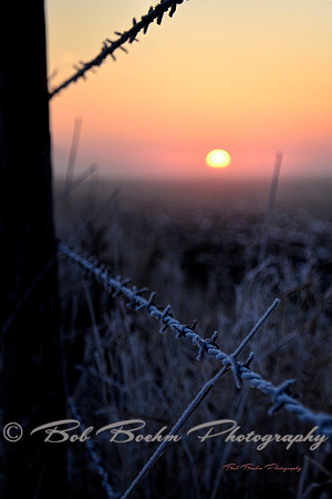 Fenceline