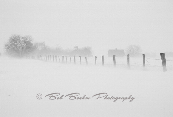 Whiteout on the Farm