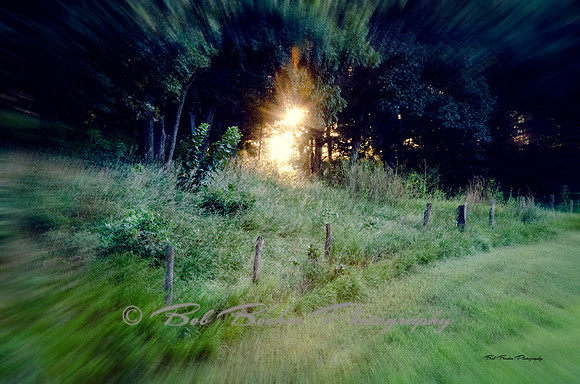 Zooming
