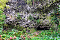 The Fern Grotto