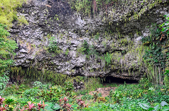 The Fern Grotto
