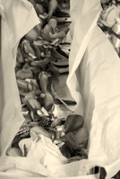 DSC_9848 Sepia