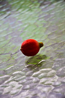 Fruit?