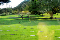 Punch Bowl Cemetery III