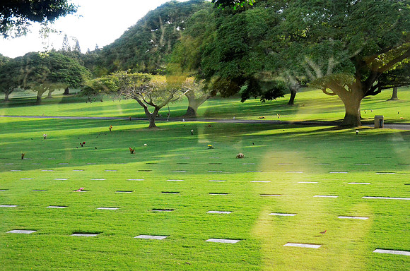 Punch Bowl Cemetery III