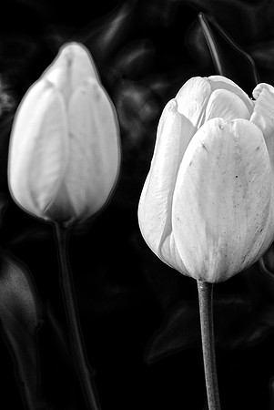 050711 Grunge BW