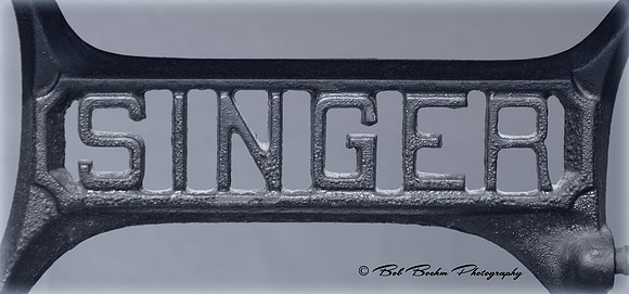 Singer