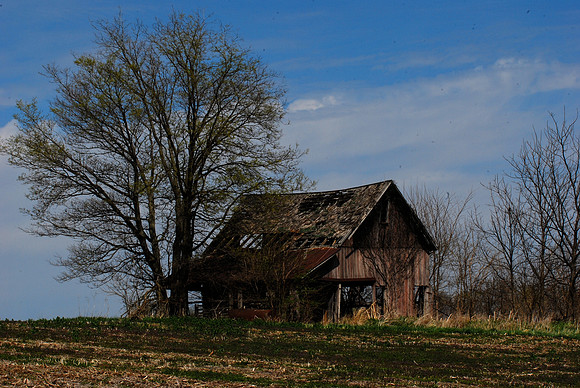 041911 Weathered Barn