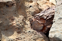 Lava Rock and Rust