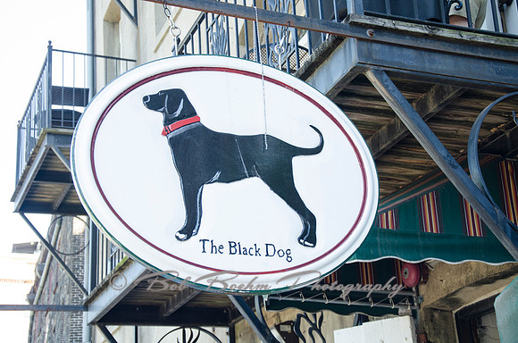 the Black Dog