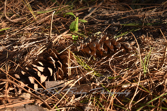 Sep232012_4119