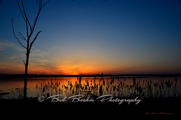Spring Sunset