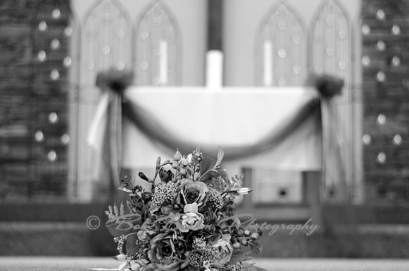 _BJB3817 BW