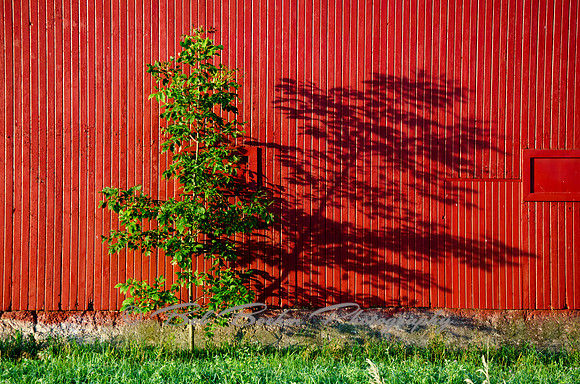 Barn Wall 2