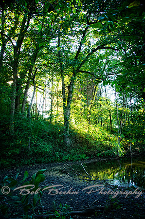 Sep232012_4102